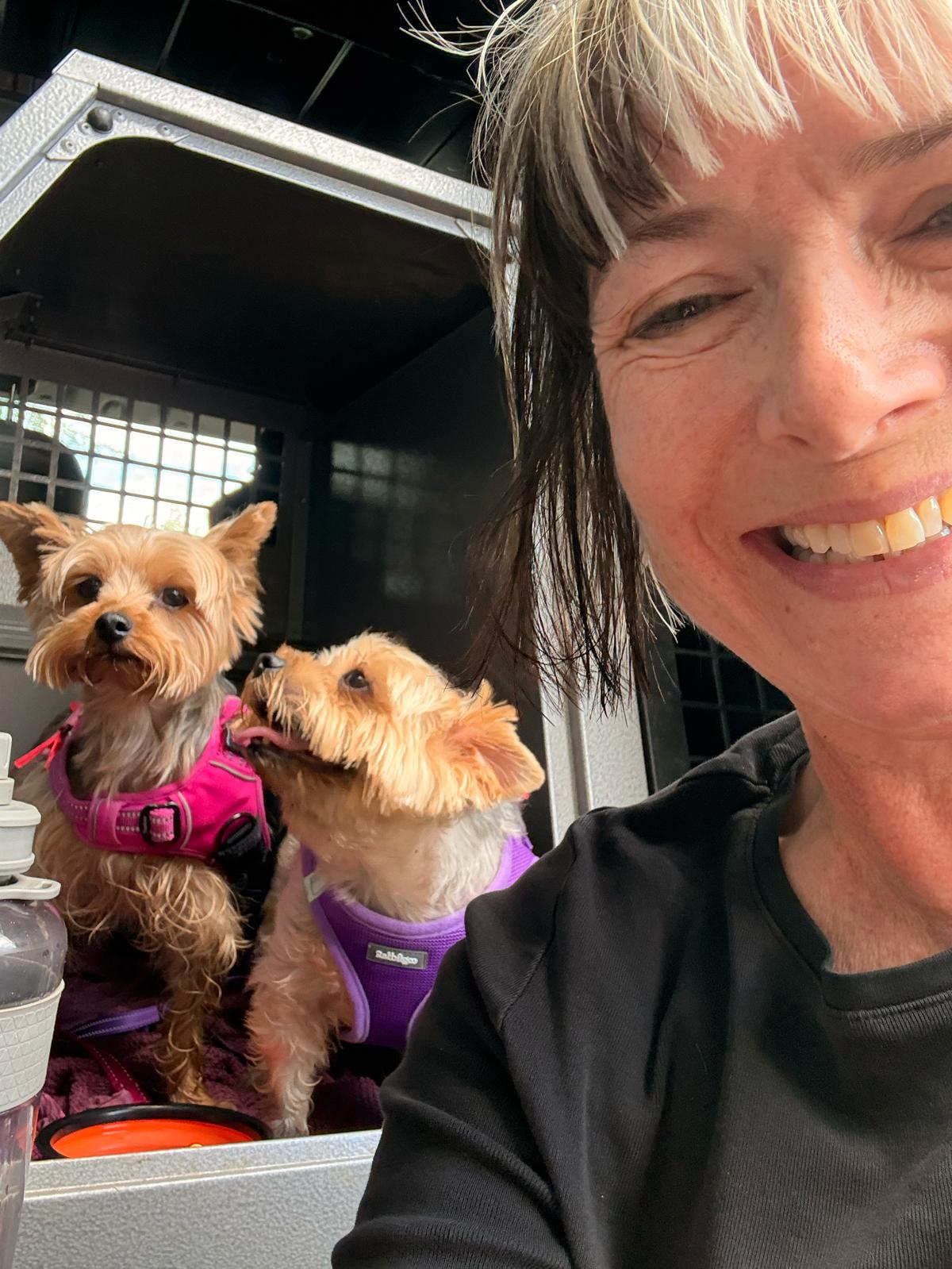 Millie and Pixie, Yorkshire Terriers, with Cleo