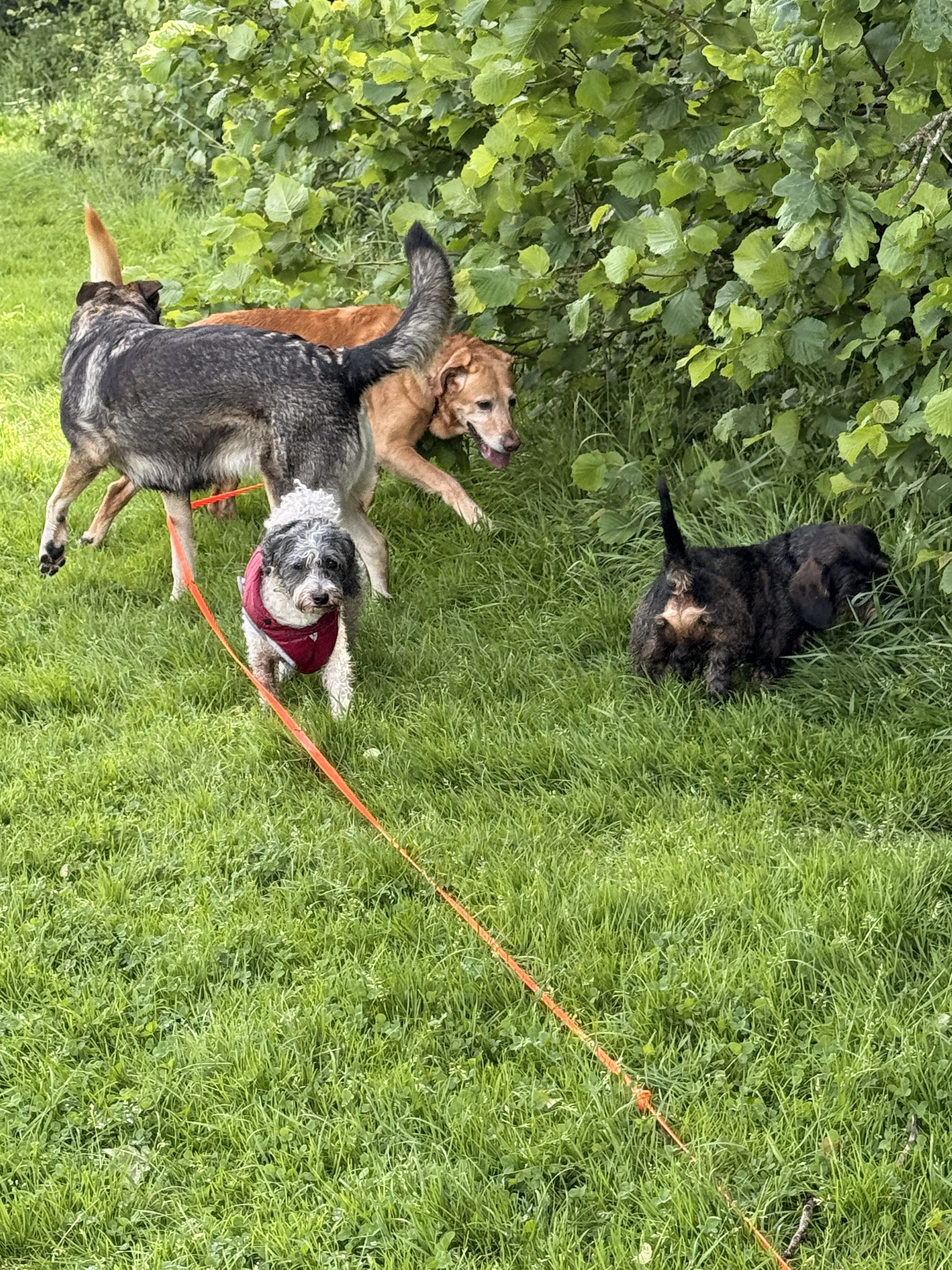 A small pack out on a group walk